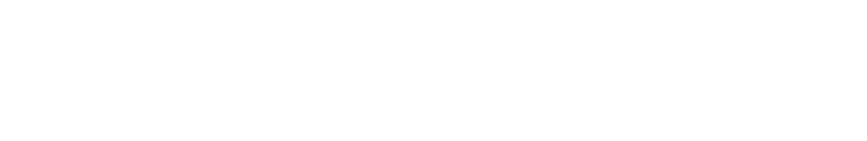 Schbot F1 logo valge